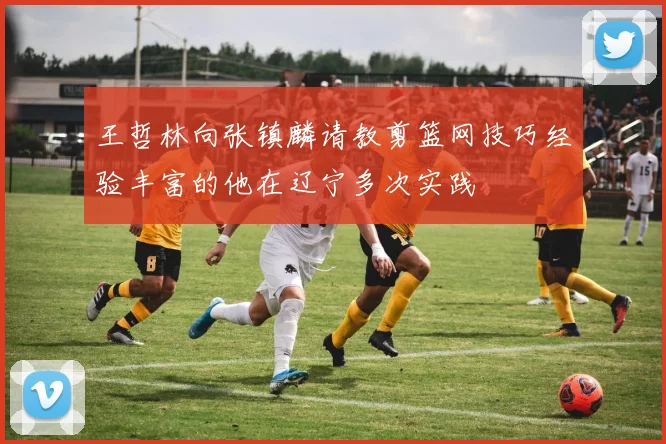 王哲林向张镇麟请教剪篮网技巧经验丰富的他在辽宁多次实践