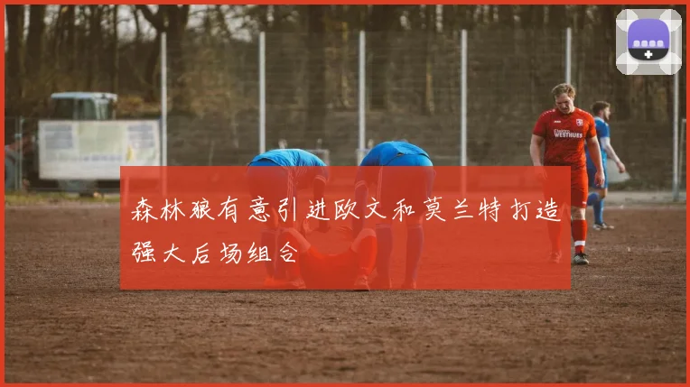 森林狼有意引进欧文和莫兰特打造强大后场组合